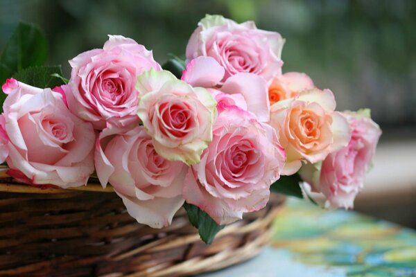 Roses dans le panier