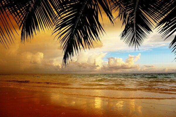 Beau coucher de soleil sur la plage de sable doré