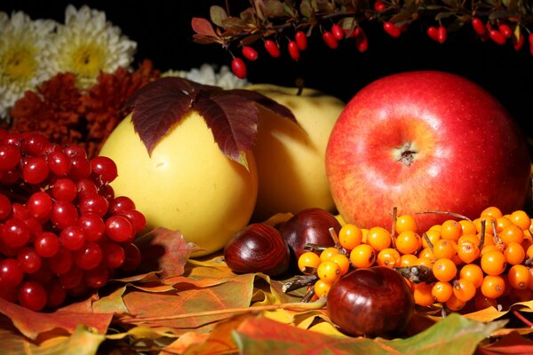 Fruchtig-herbstliche Schönheit. Äpfel, Birnen, Kastanie, Sanddorn