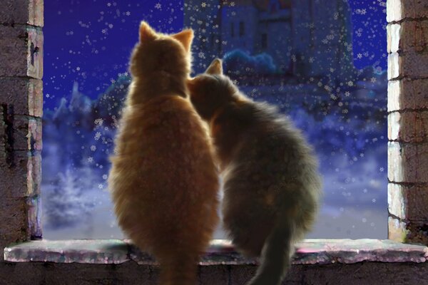 Katzen auf der Fensterbank , Winter, schauen aus dem Fenster