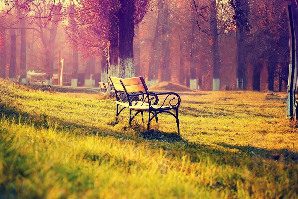 Bank für ein Paar im Park