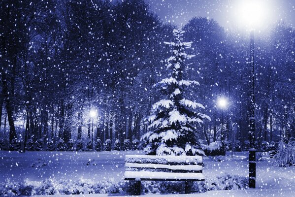 Ein mit Schnee bedeckter Weihnachtsbaum im Winterpark