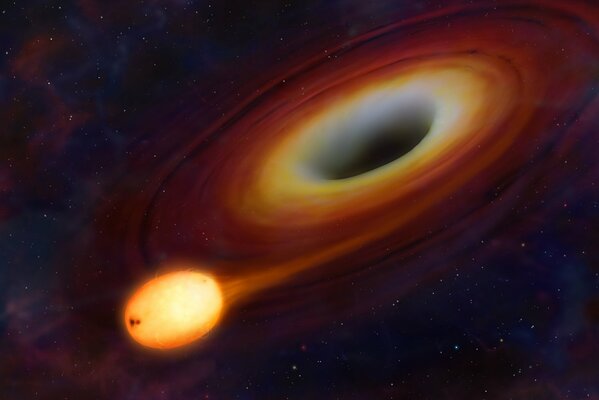 Cosmic sperm does not want to climb into a black hole