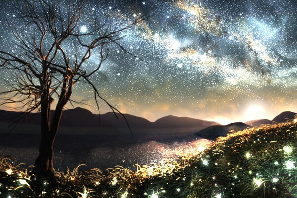 Albero sullo sfondo del cielo stellato e della Via Lattea. erba luminosa