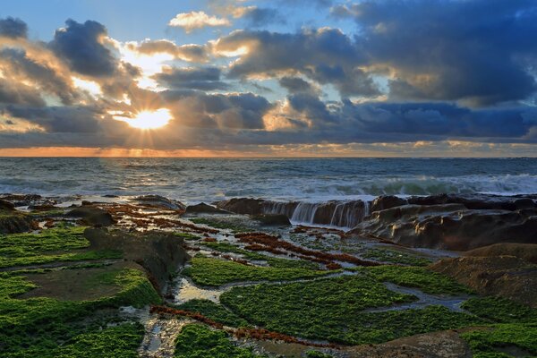 Costa con piedras del Pacífico