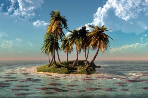 Необитаемый остров с пальмами посреди моря