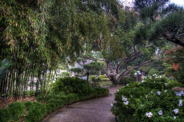 Jardin avec des arbres et des fleurs