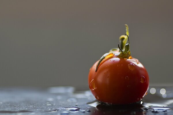 Red tomato with water drops