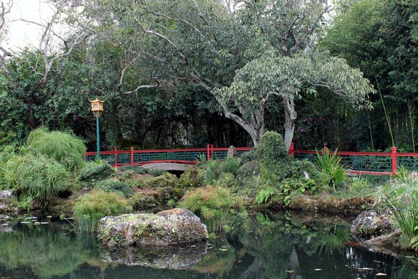 Pond in a park with a bridge in China