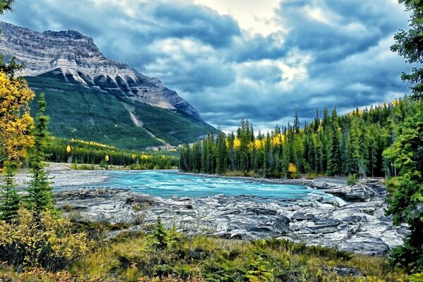 Fiume vicino alla foresta e alle montagne rocciose