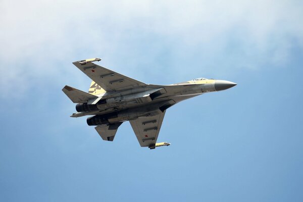 Avión en el cielo va a aterrizar