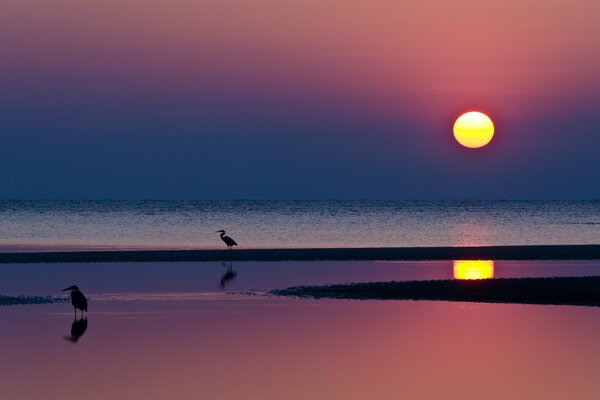 Soleil solitaire au coucher du soleil