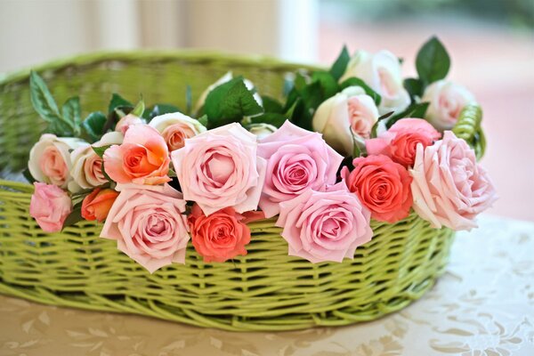 Коралловые и розовые розы в зелёной плетёной корзинке