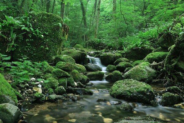 Paysage spectaculaire. L eau qui coule sur les rochers