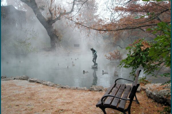 Fog in the park with a pond