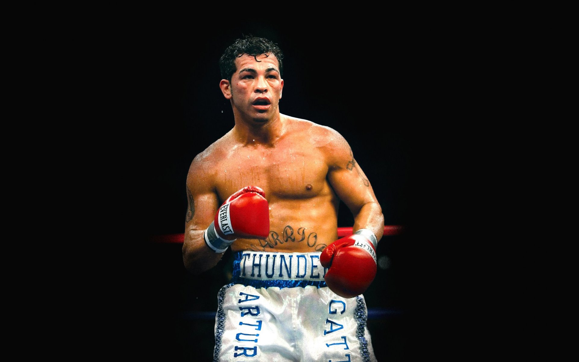 arturo gatti boxing boxer black background