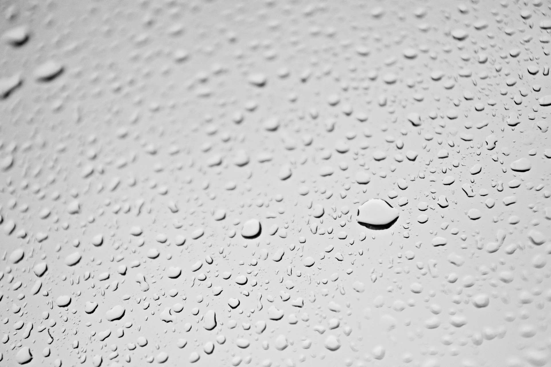 gotas blanco y negro cuenta agua gota