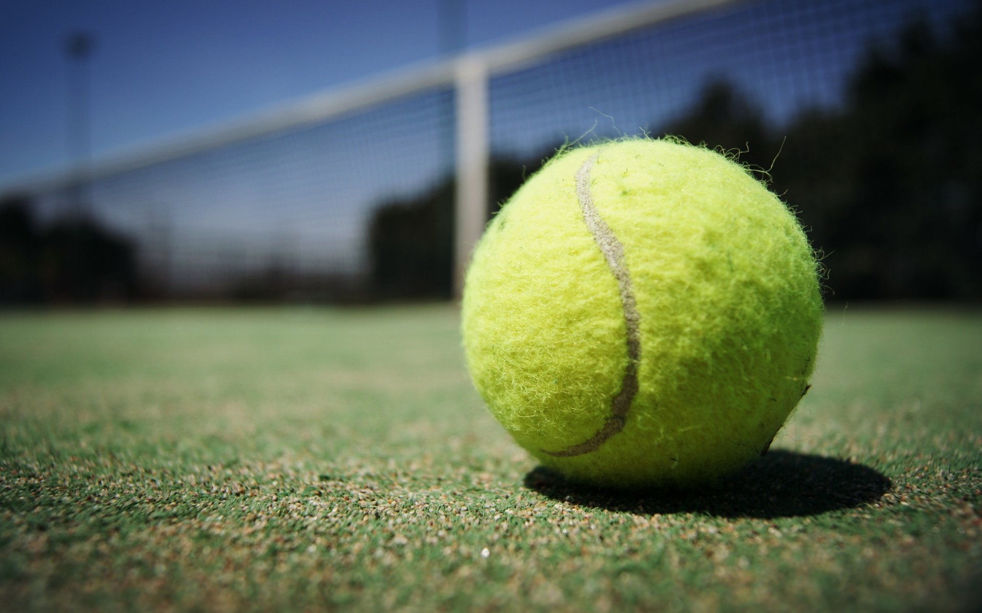 pelota cancha deporte macro