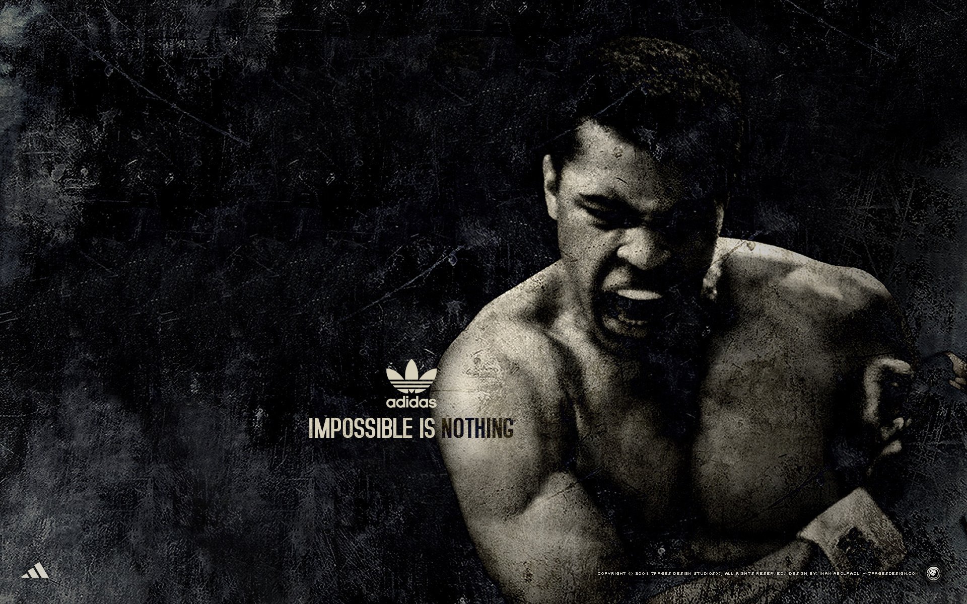 muhammad ali boxer sports adida