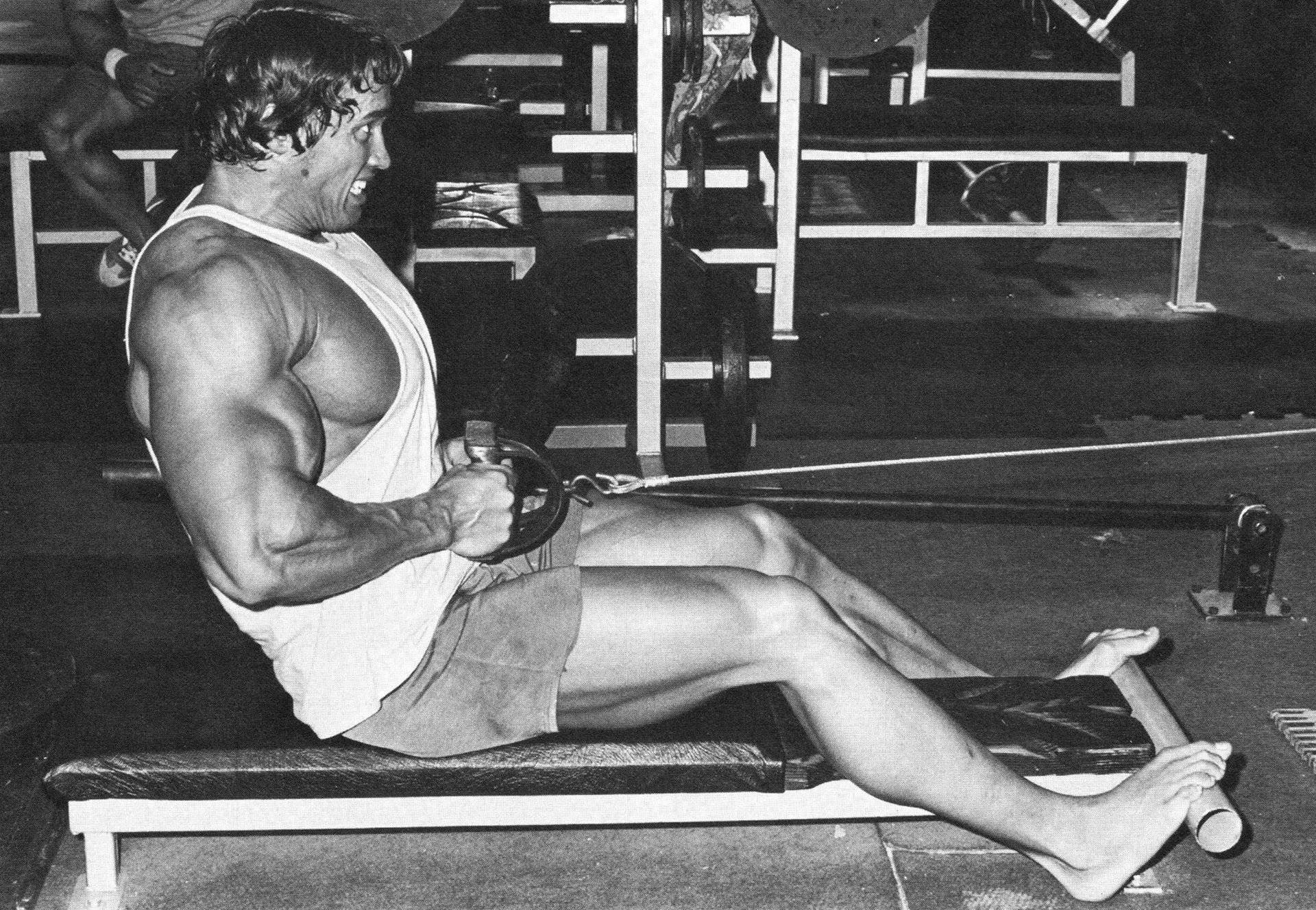 arnold schwarzenegger schwarzenegger arnold culturista actor hombre deporte