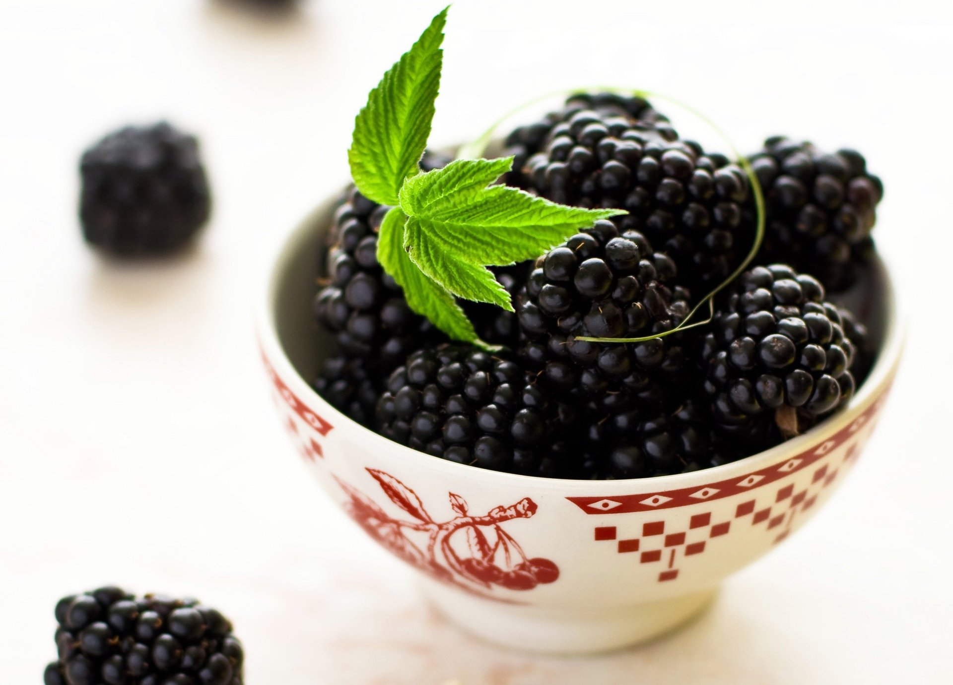 bowl black macro berries blackberry