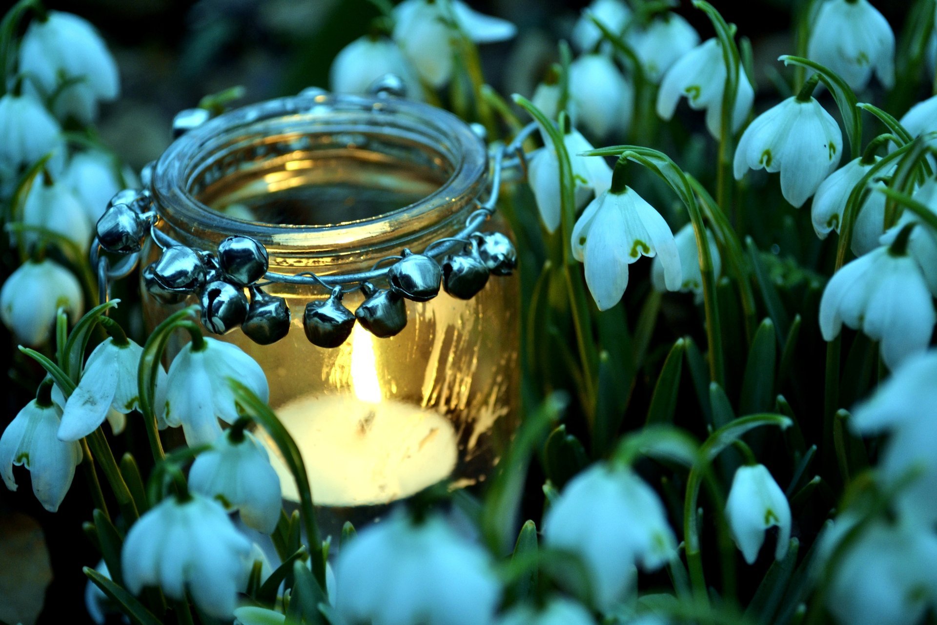 frühling kerze glas feuer schneeglöckchen