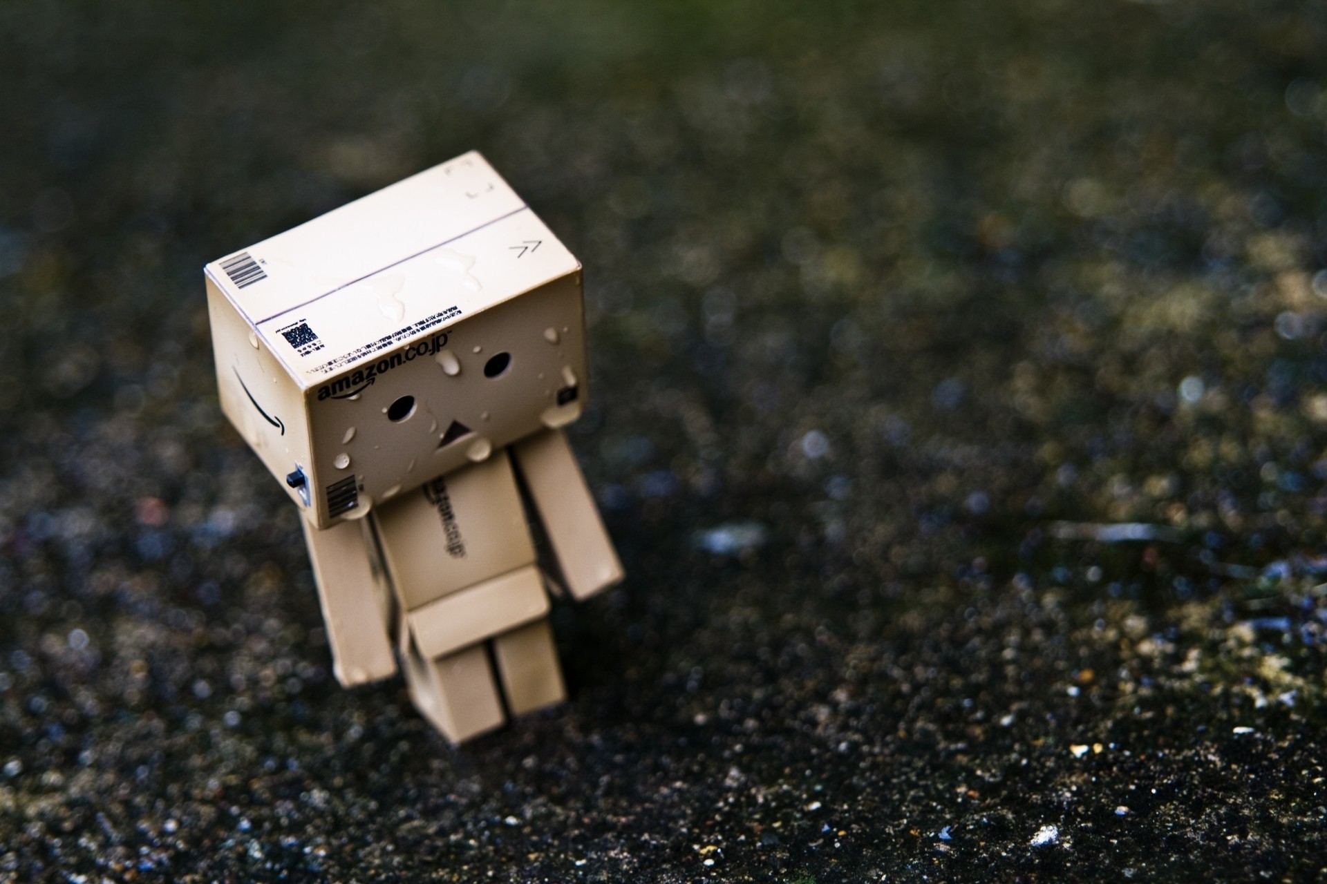 danbo deszcz samotny zabawki