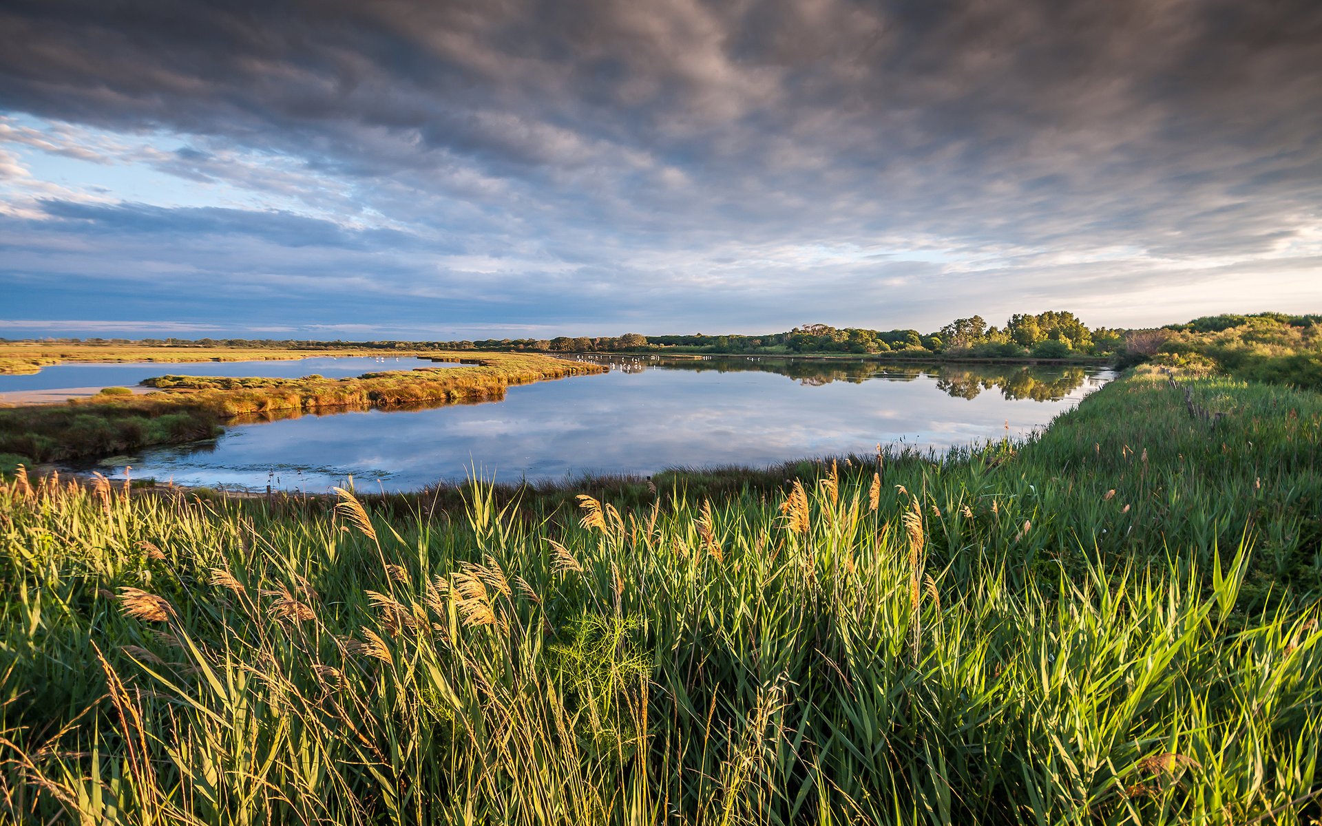 petite camargue пейзаж природа облака небо озеро france