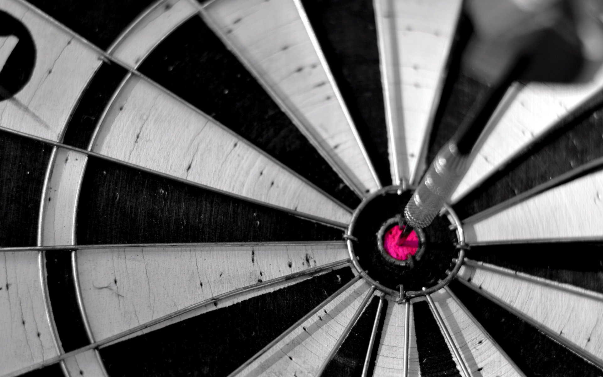 dartboard bullseye sport macro