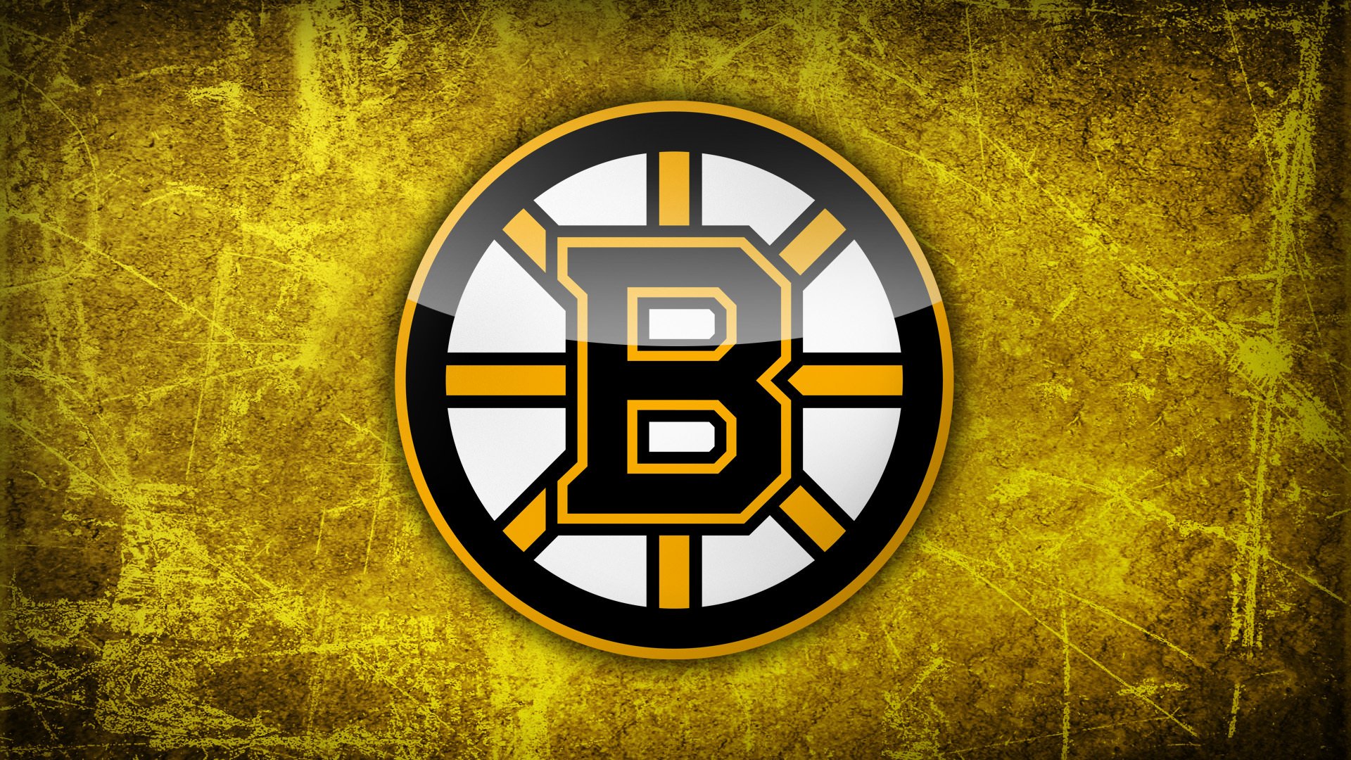 lnh boston bruins