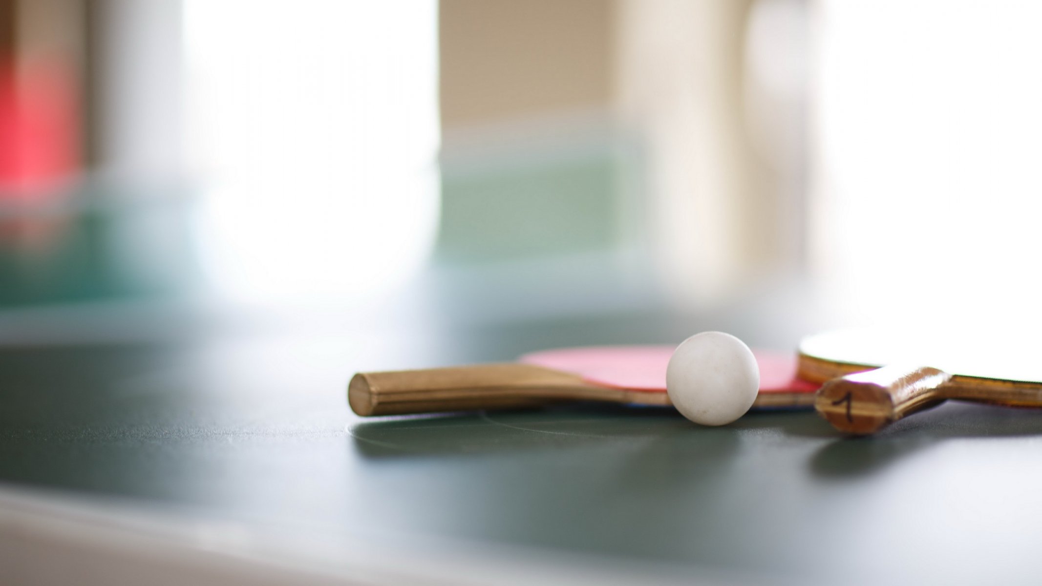 raquetas pelota deportes tenis