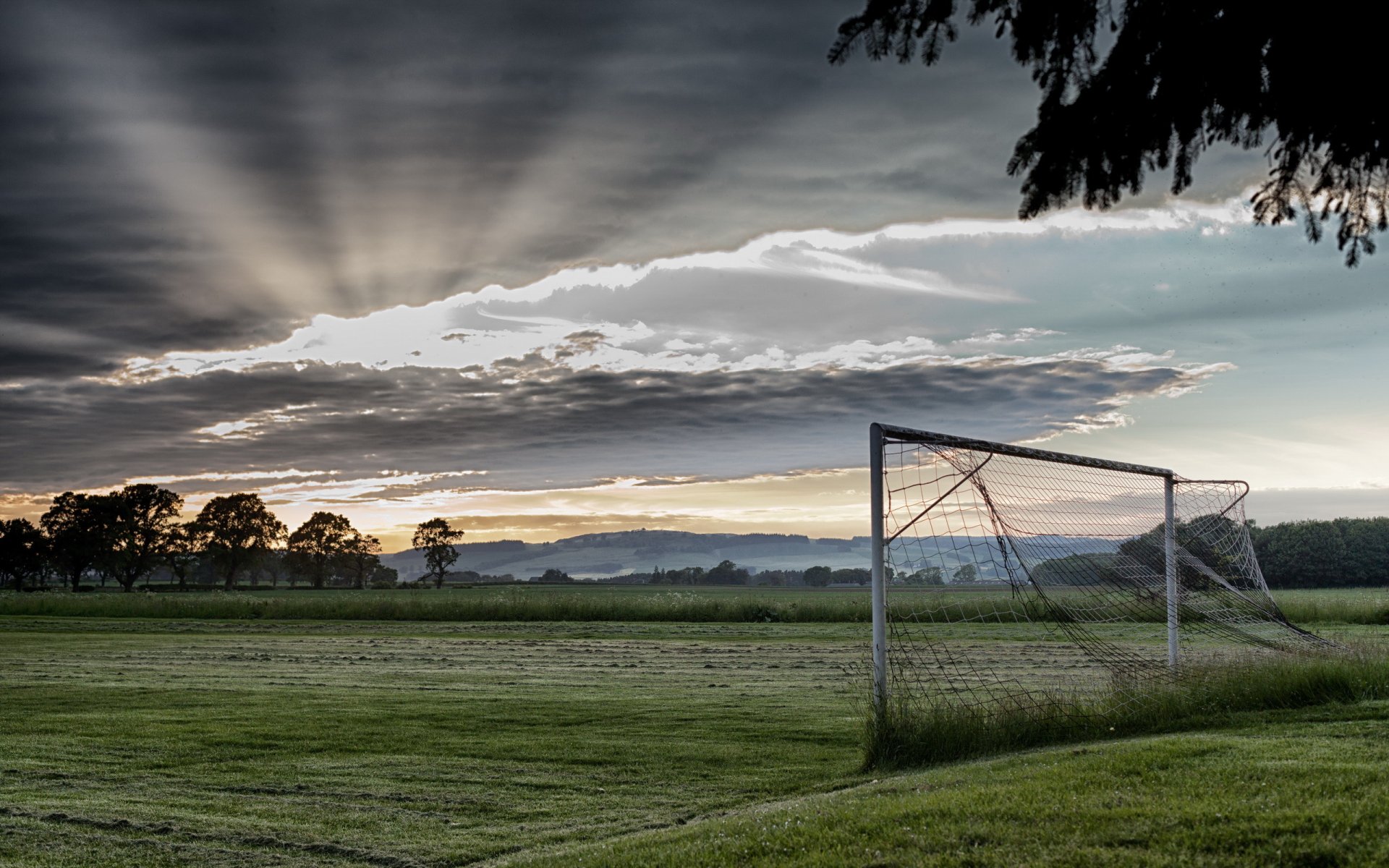 morning the field sports gate