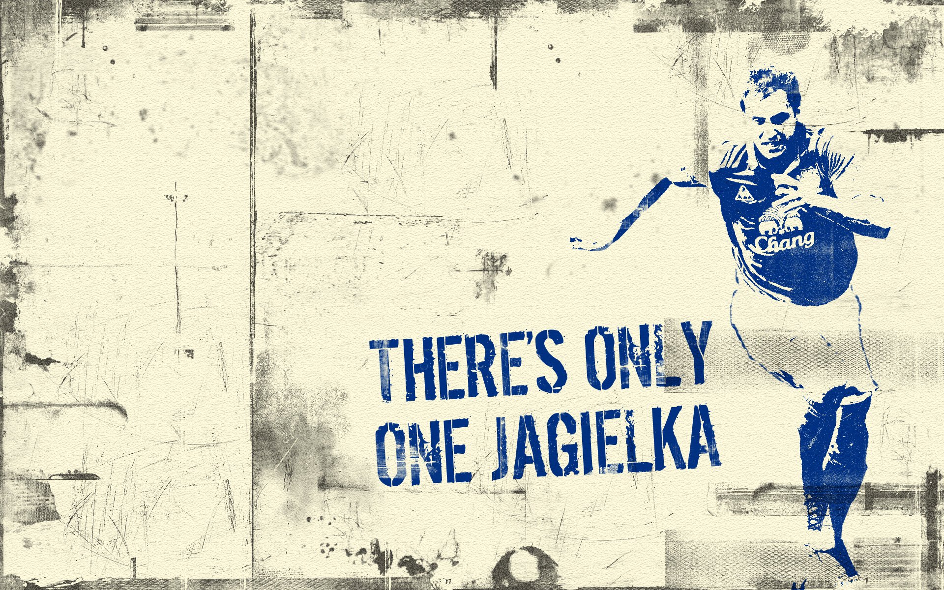 jagelka everton jagelka