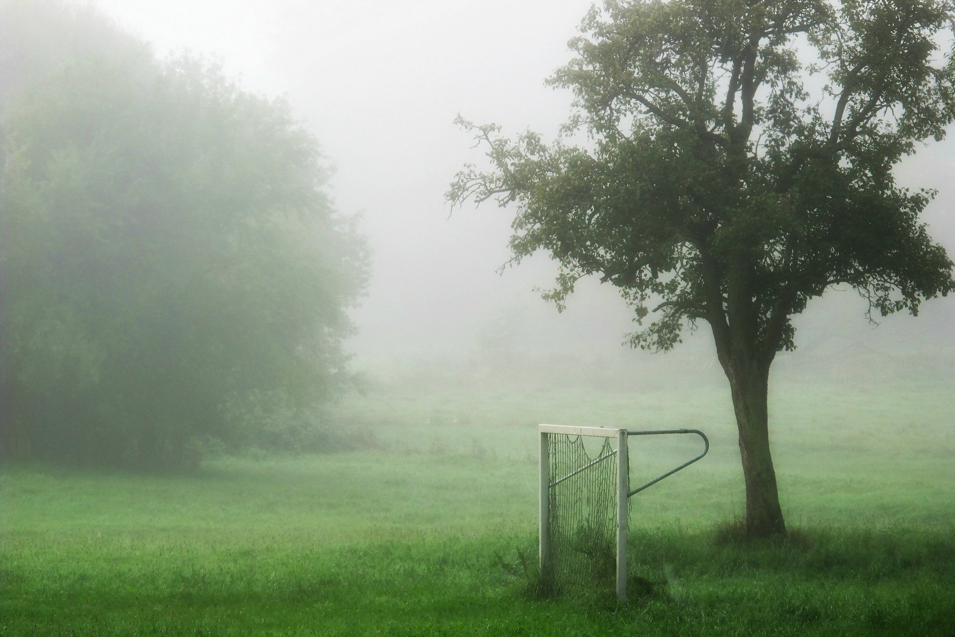 porte champ brouillard sport