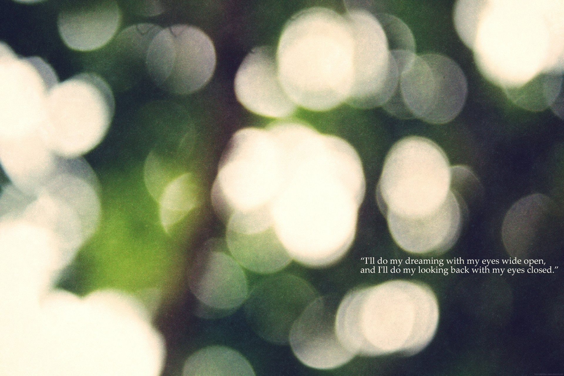 sen bokeh drewno