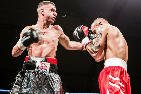 Deporte dos boxeadores en el Ring