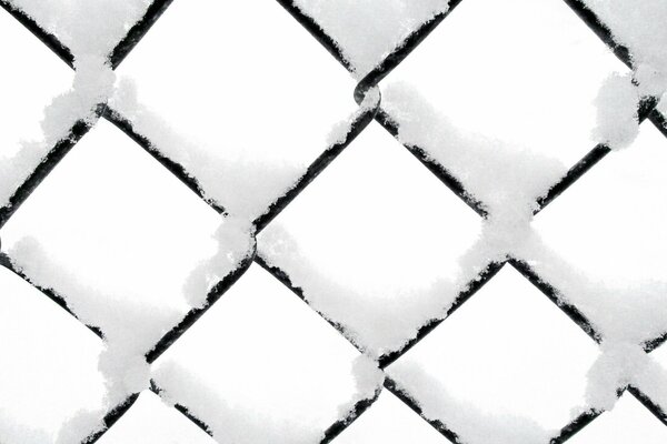 Black mesh fence covered with snow