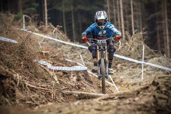 Course à vélo dans la forêt