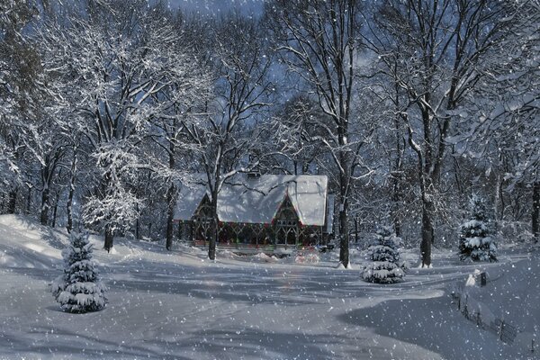 Winterlandschaft, Bäume im Schnee, Haus im Wald