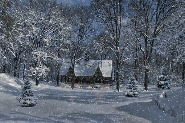 Zimowy krajobraz, drzewa w śniegu, dom w lesie