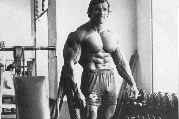 Ein junger Schwarzenegger. Skulpturaler Körper