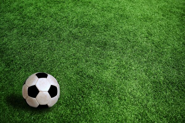 Soccer ball on a green field