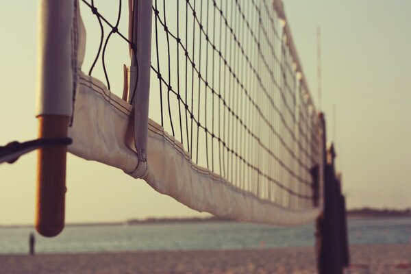 And we will pull a volleyball net and make it summer