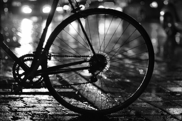 Bicycle rear wheel on wet