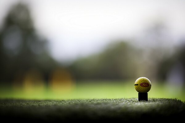 A ball on a golf course background