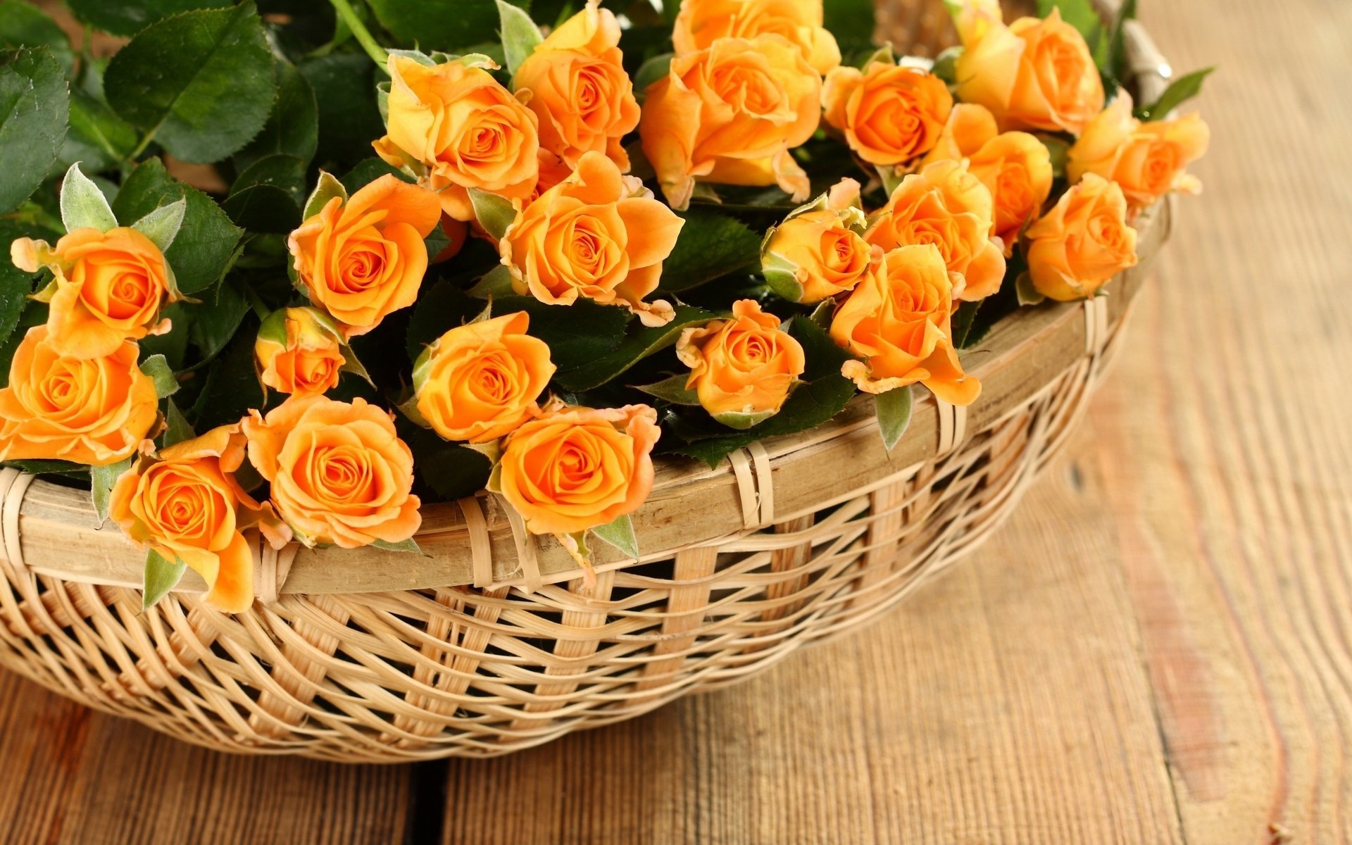 flowers roses roses paniers petals rose pétales basket