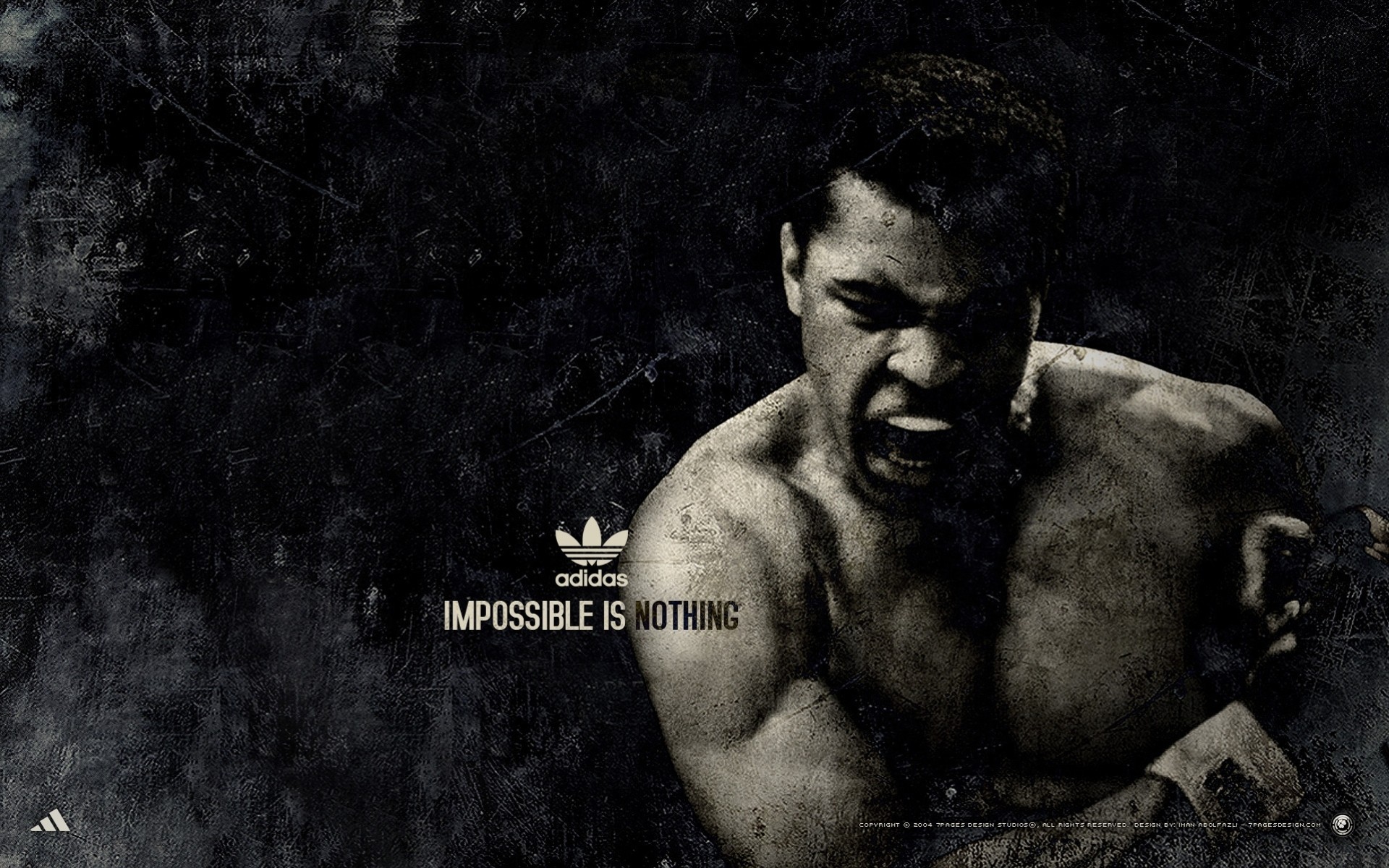 muhammad ali sport adidas