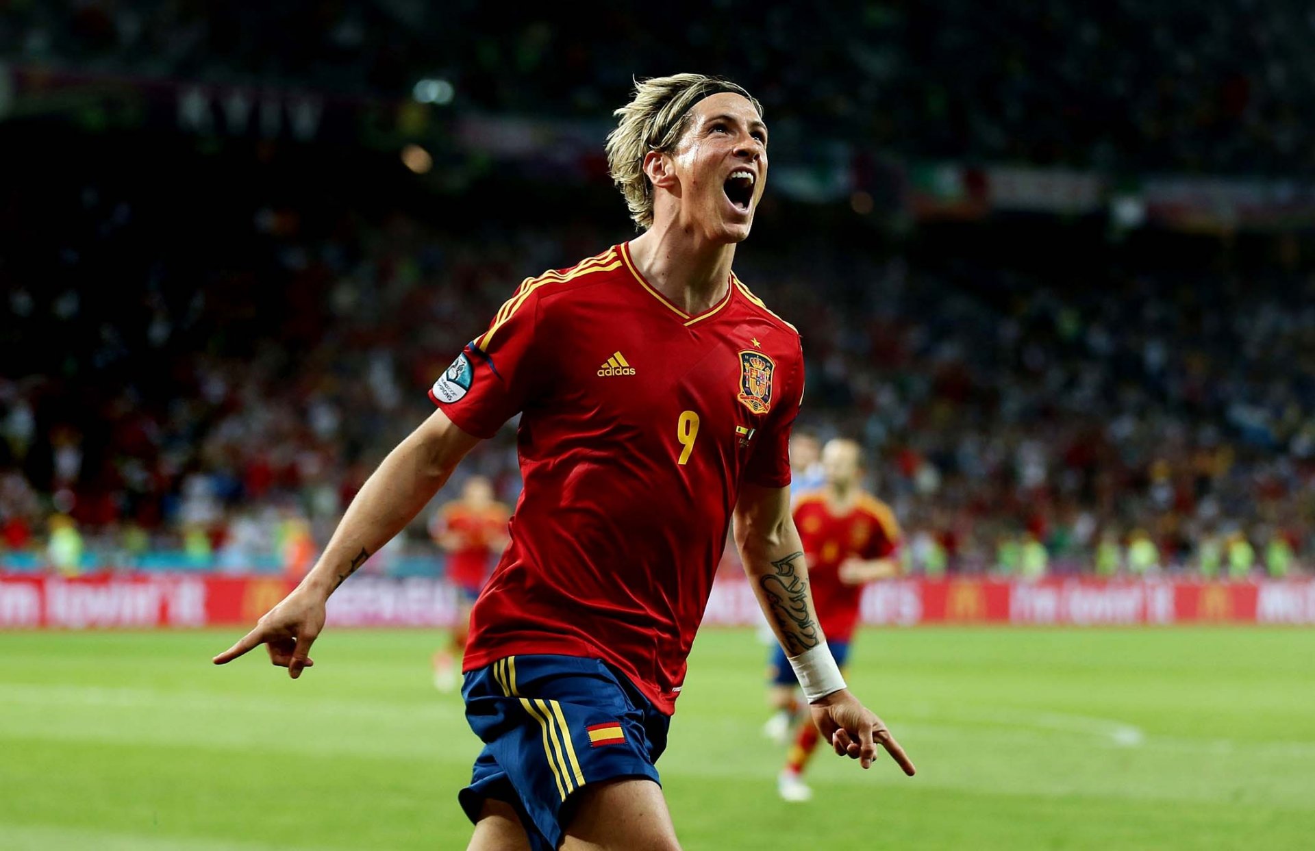 torres spanien fußball euro 2012