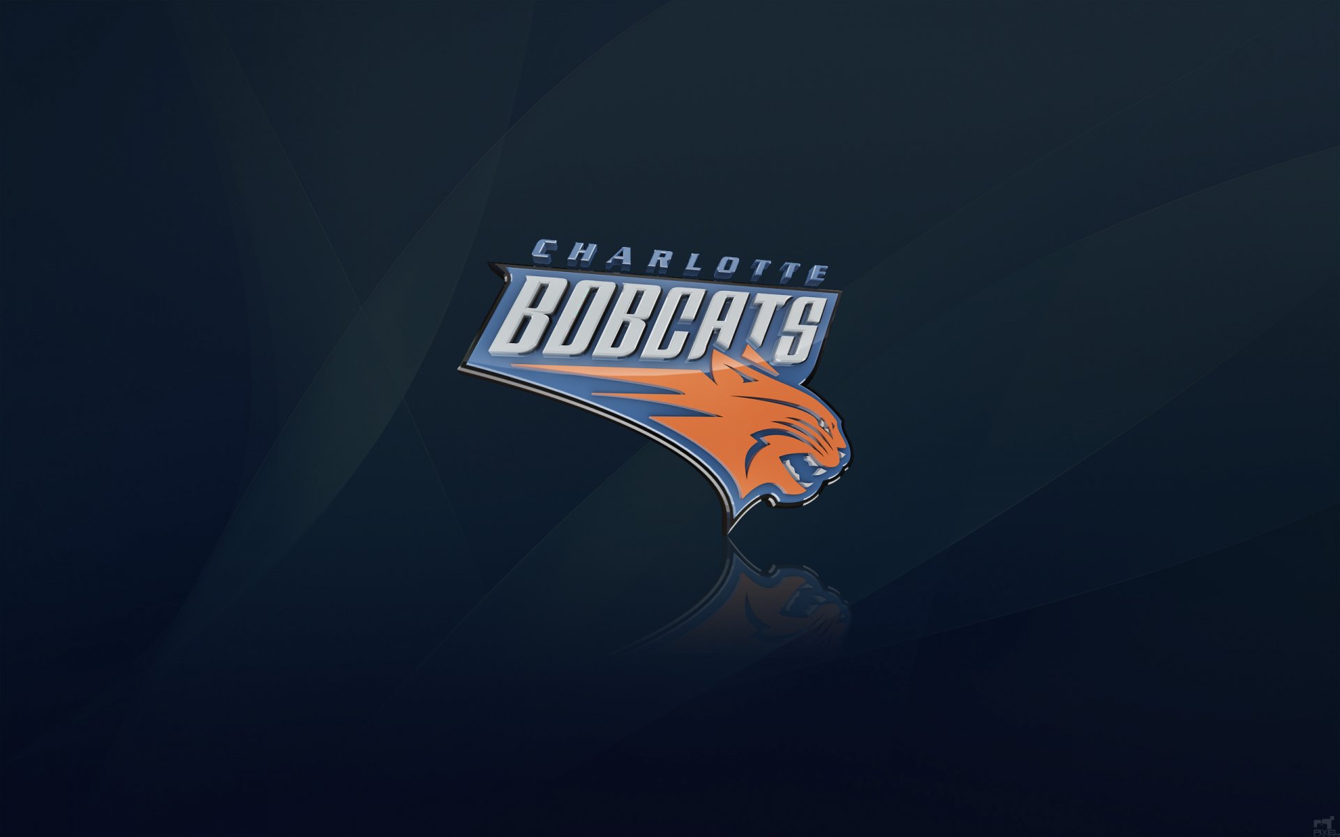 charlotte bobcats nba basket logo sfondo gatti charlotte carolina del nord blu