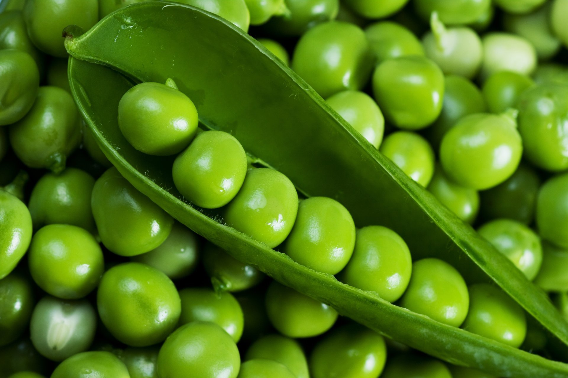 pod green peas peas table